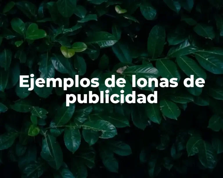 Ejemplos de lonas de publicidad