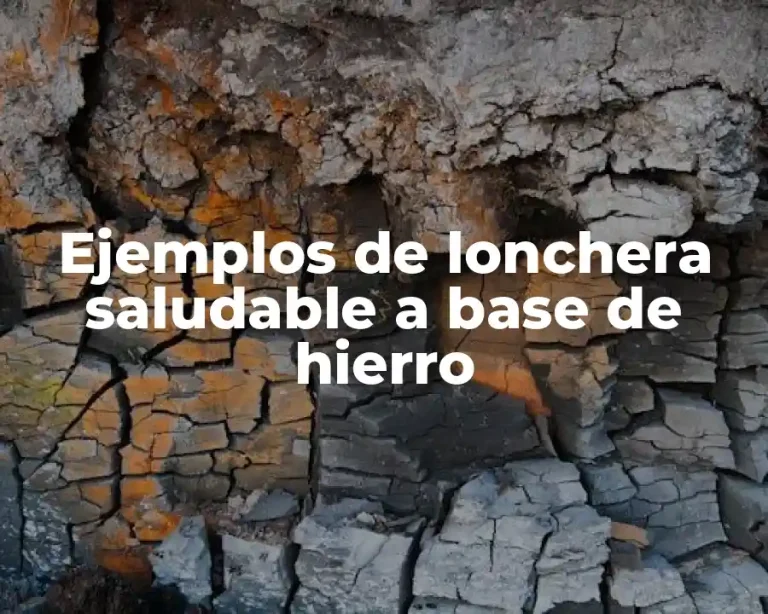 Ejemplos de lonchera saludable a base de hierro