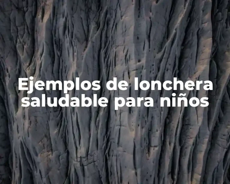 Ejemplos de lonchera saludable para niños