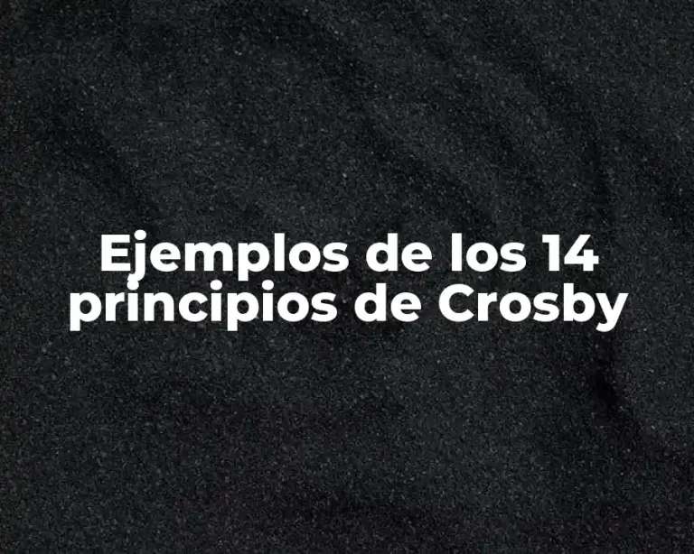 Ejemplos de los 14 principios de Crosby