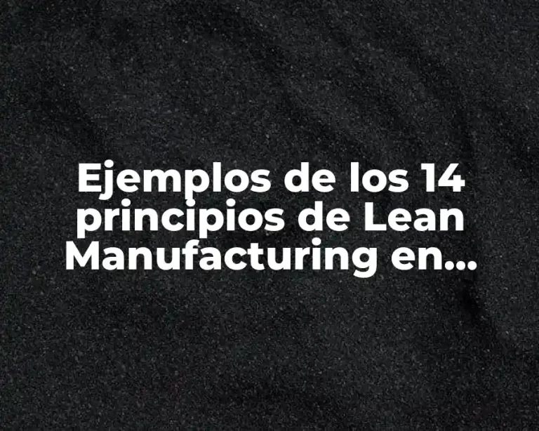 Ejemplos de los 14 principios de Lean Manufacturing en presidencia