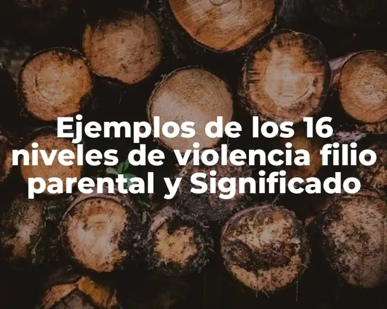 Ejemplos de los 16 niveles de violencia filio parental y Significado