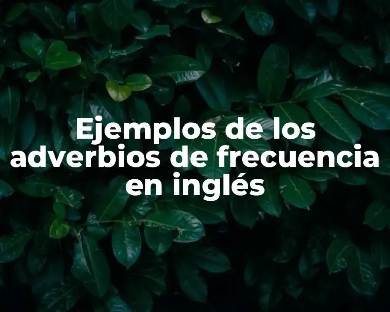 Ejemplos de los adverbios de frecuencia en inglés