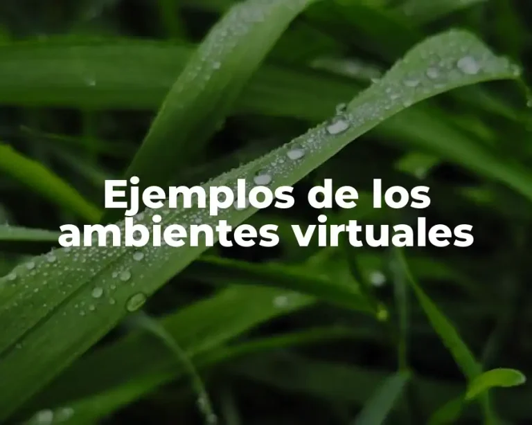 Ejemplos de los ambientes virtuales