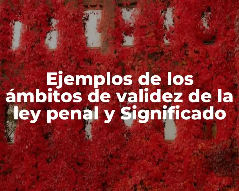Ejemplos de los ámbitos de validez de la ley penal y Significado
