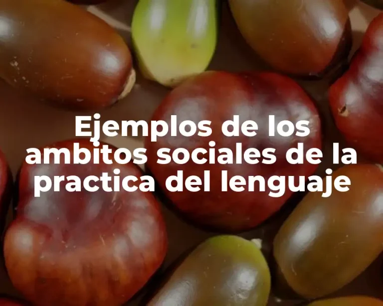 Ejemplos de los ambitos sociales de la practica del lenguaje