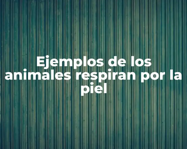 Ejemplos de los animales respiran por la piel