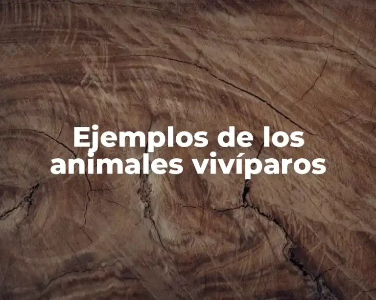 Ejemplos de los animales vivíparos