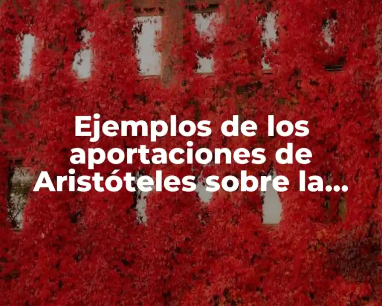 Ejemplos de los aportaciones de Aristóteles sobre la caída libre y Significado