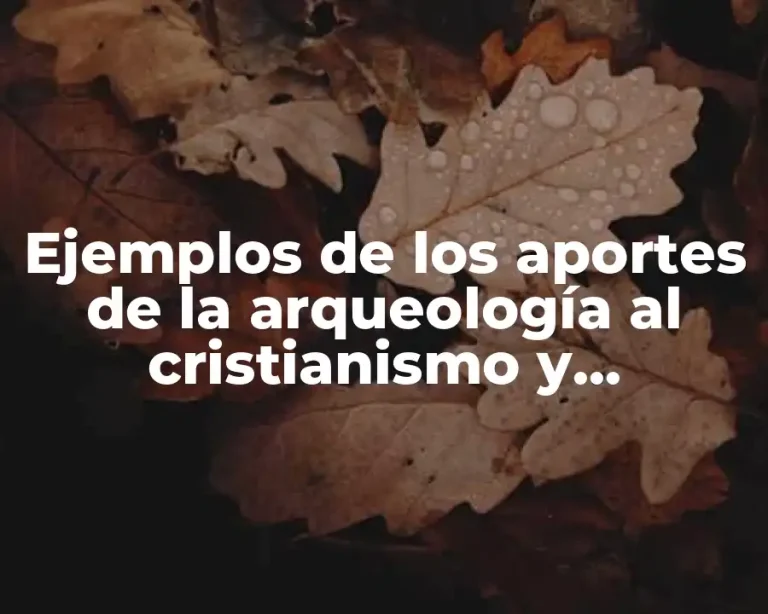 Ejemplos de los aportes de la arqueología al cristianismo y Significado