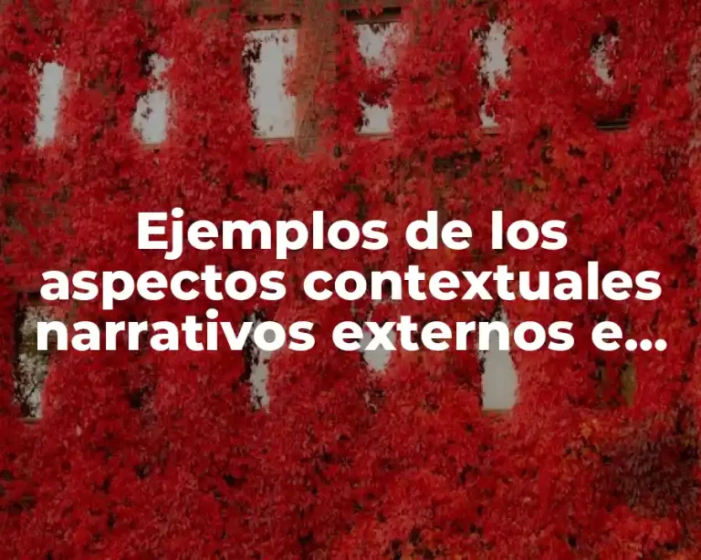 Ejemplos de los aspectos contextuales narrativos externos e internos