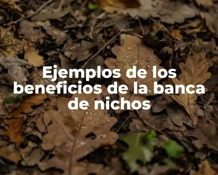 Ejemplos de los beneficios de la banca de nichos