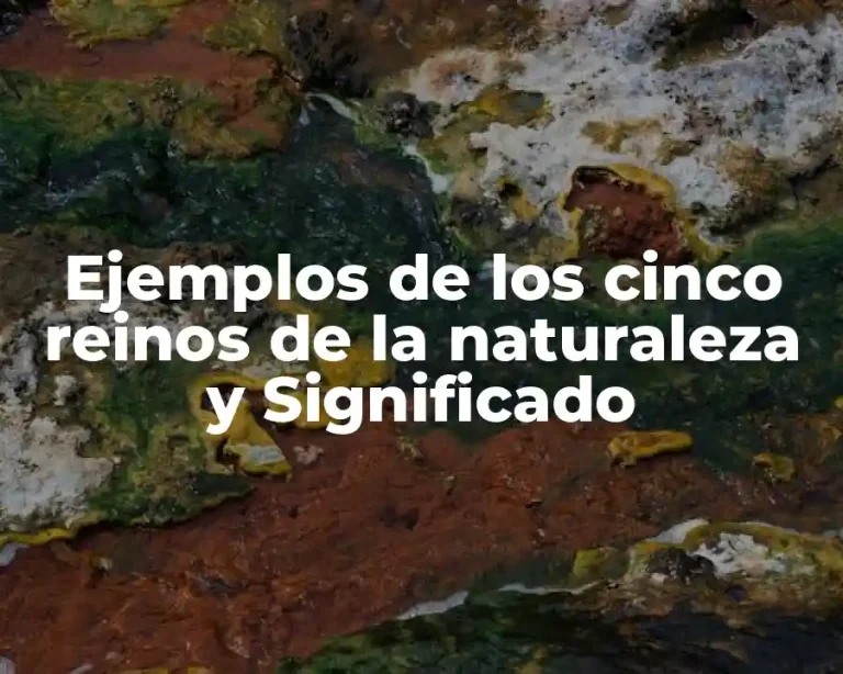 Ejemplos de los cinco reinos de la naturaleza y Significado