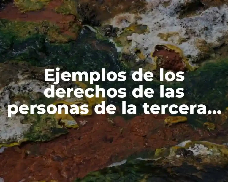 Ejemplos de los derechos de las personas de la tercera edad y Significado