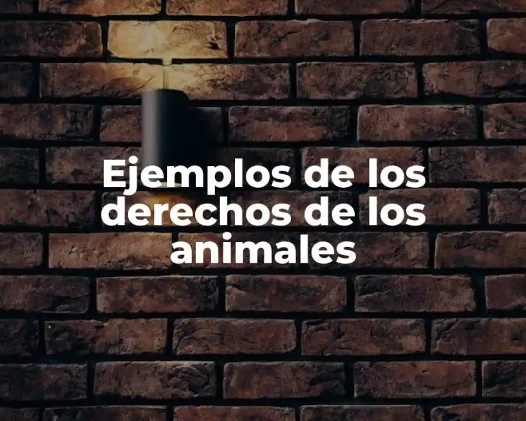 Ejemplos de los derechos de los animales