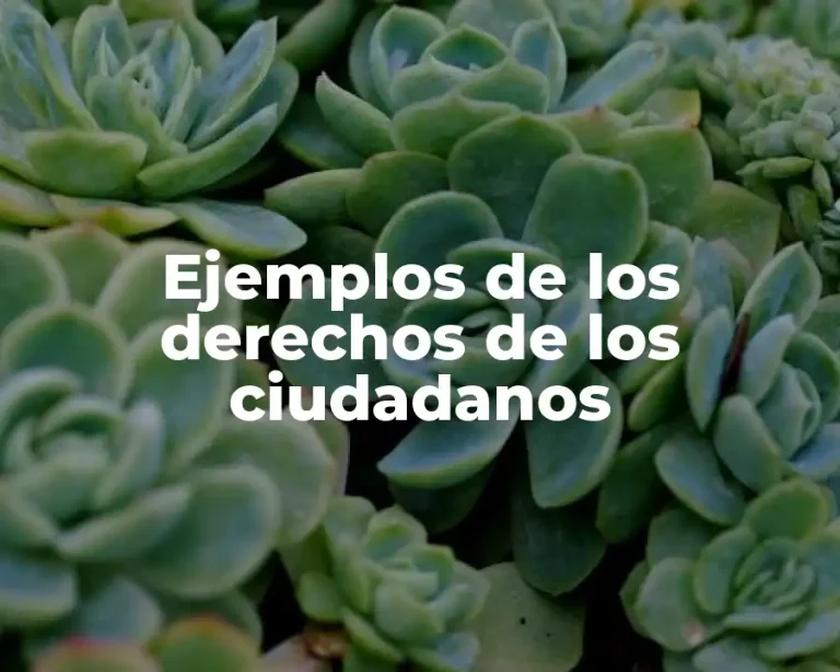 Ejemplos de los derechos de los ciudadanos