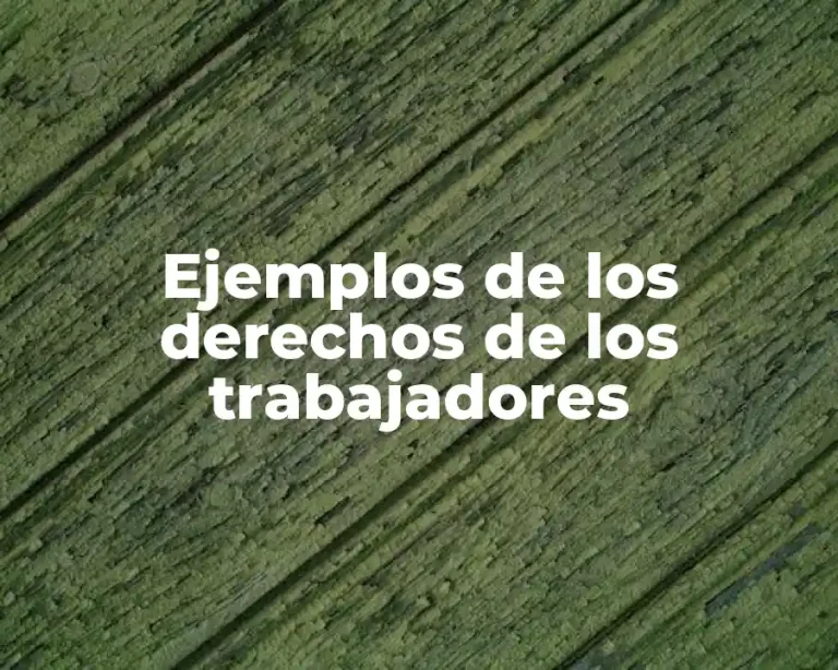 Ejemplos de los derechos de los trabajadores