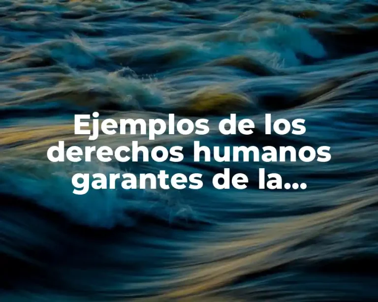 Ejemplos de los derechos humanos garantes de la diversidad cultural