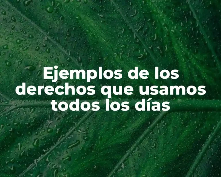 Ejemplos de los derechos que usamos todos los días