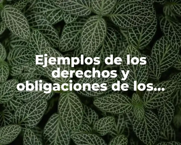 Ejemplos de los derechos y obligaciones de los niños