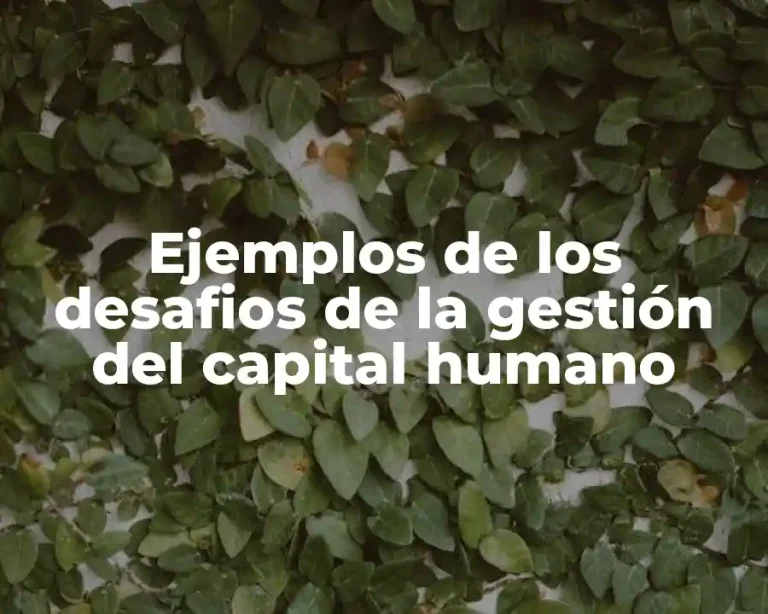 Ejemplos de los desafios de la gestión del capital humano