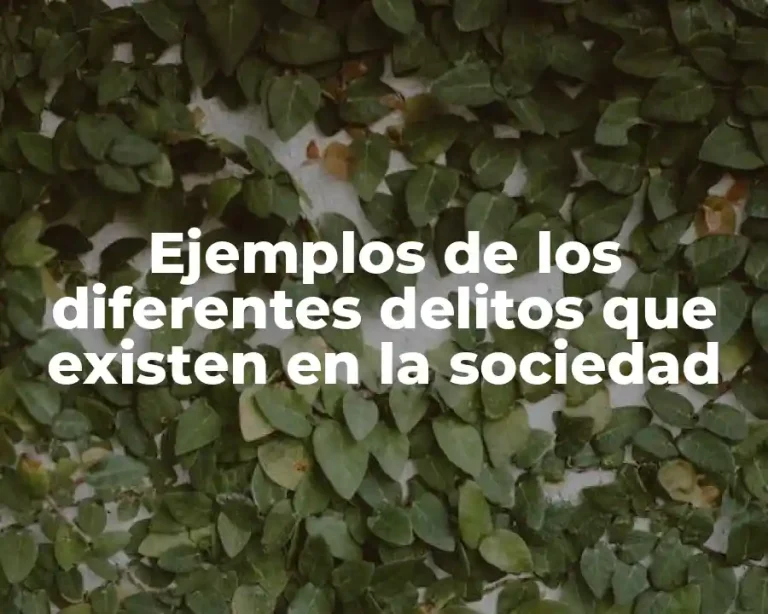 Ejemplos de los diferentes delitos que existen en la sociedad