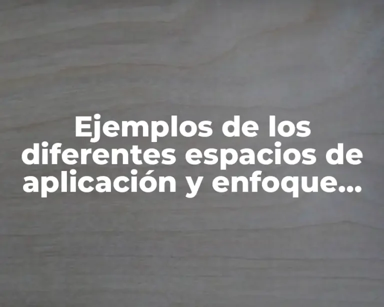 Ejemplos de los diferentes espacios de aplicación y enfoque económico