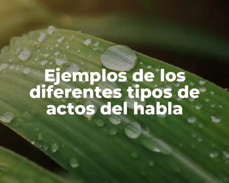 Ejemplos de los diferentes tipos de actos del habla