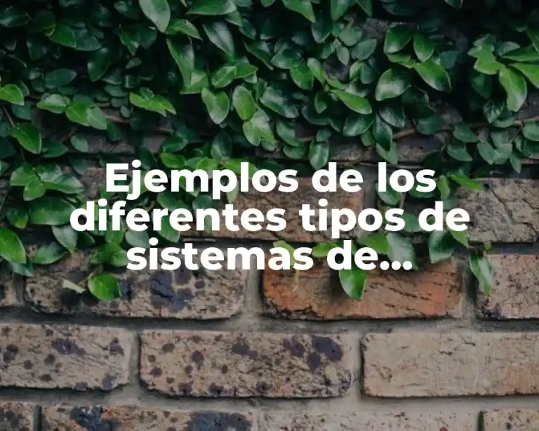 Ejemplos de los diferentes tipos de sistemas de información