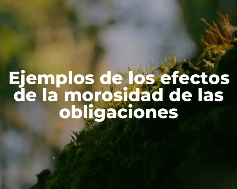 Ejemplos de los efectos de la morosidad de las obligaciones