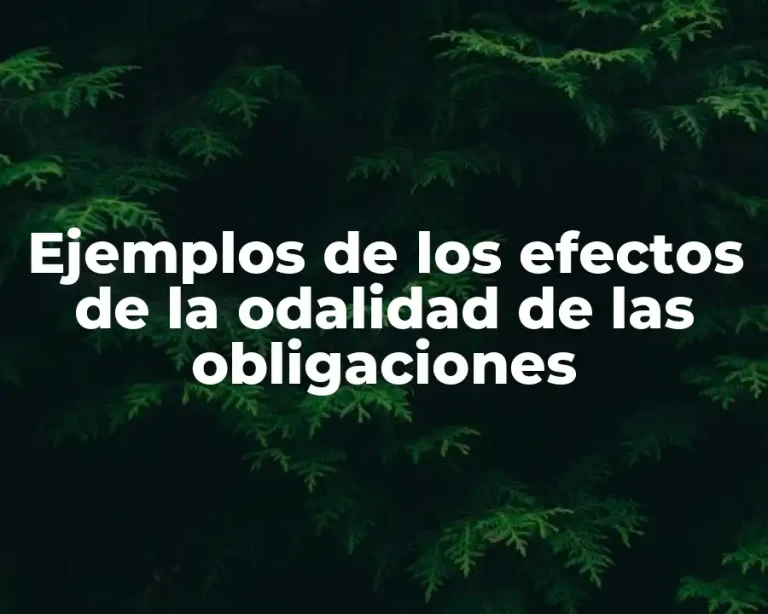 Ejemplos de los efectos de la odalidad de las obligaciones