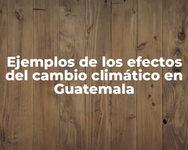 Ejemplos de los efectos del cambio climático en Guatemala