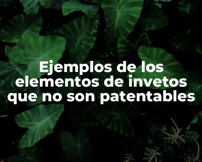 Ejemplos de los elementos de invetos que no son patentables