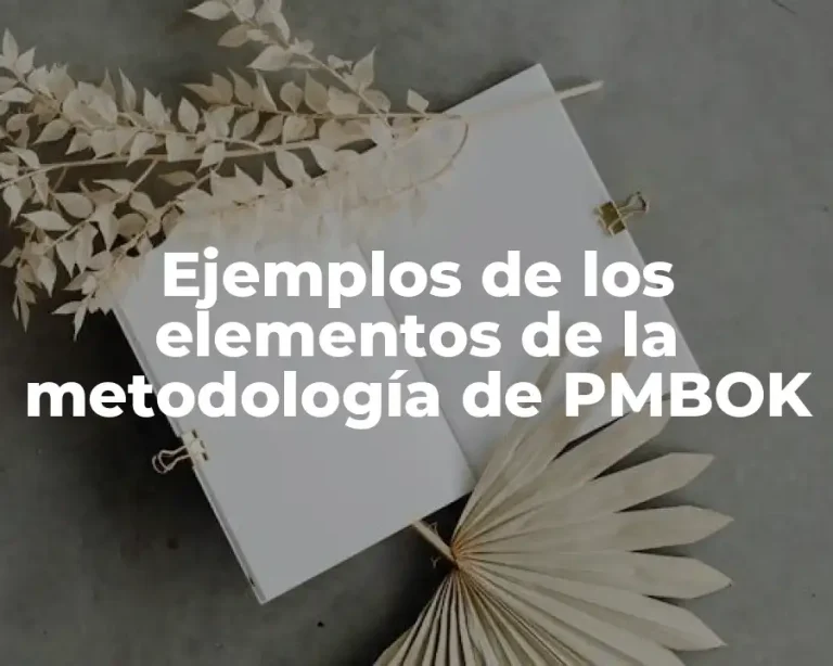 Ejemplos de los elementos de la metodología de PMBOK