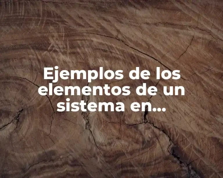 Ejemplos de los elementos de un sistema en mercadotecnia