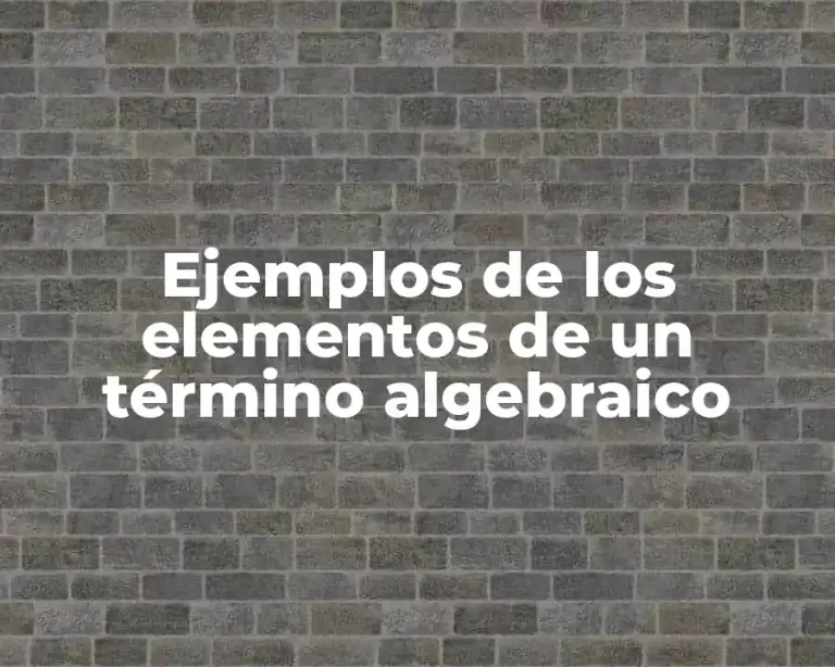 Ejemplos de los elementos de un término algebraico