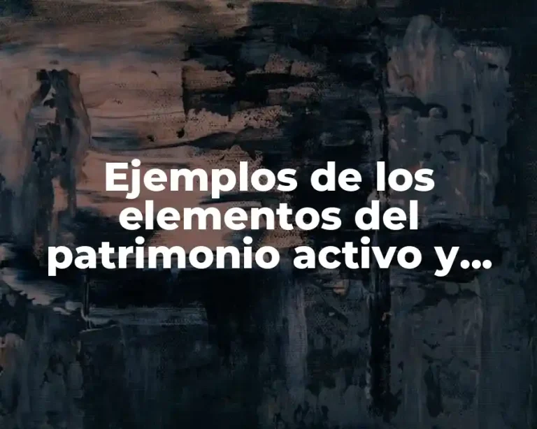 Ejemplos de los elementos del patrimonio activo y pasivo