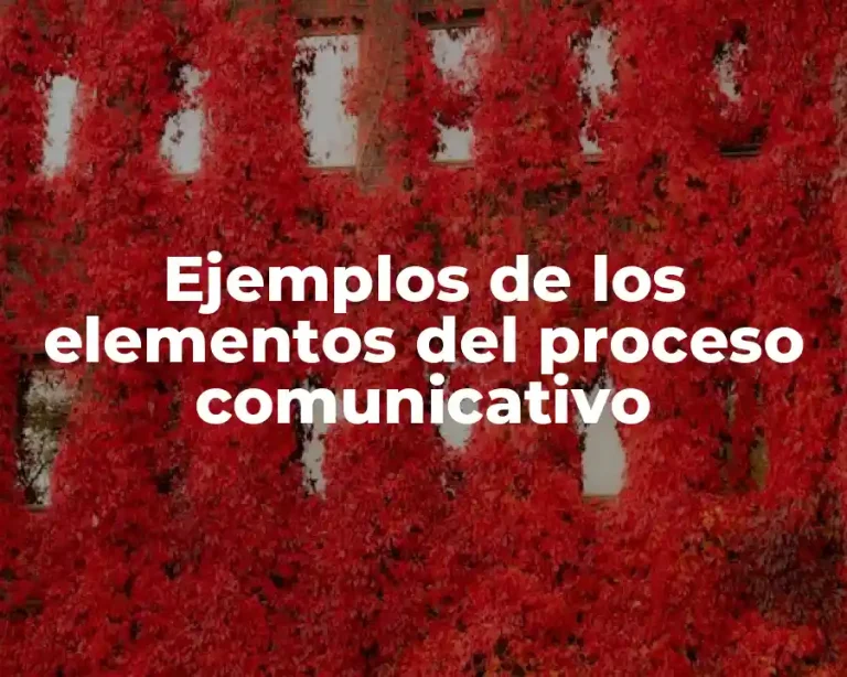 Ejemplos de los elementos del proceso comunicativo