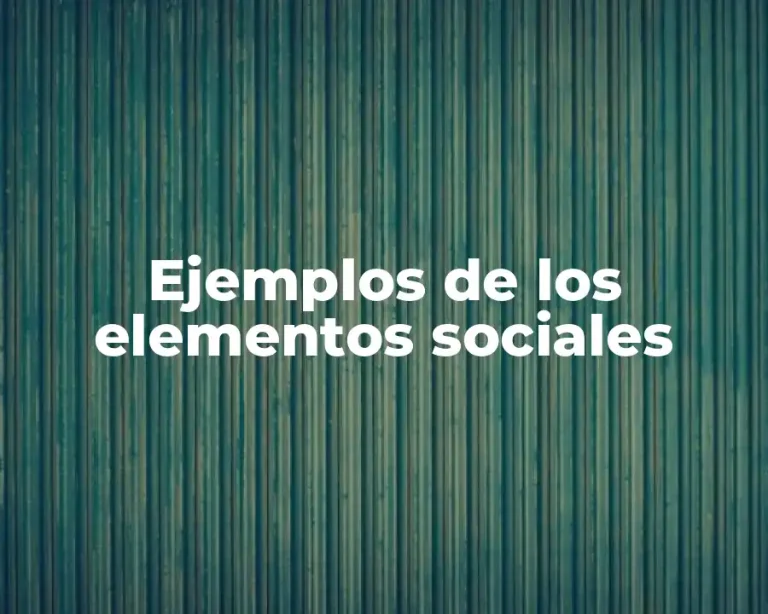 Ejemplos de los elementos sociales