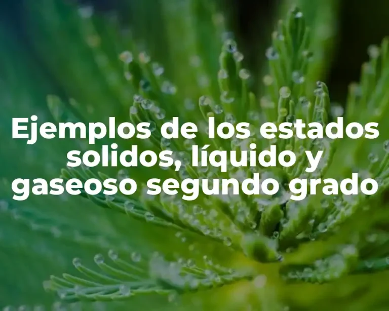 Ejemplos de los estados solidos, líquido y gaseoso segundo grado