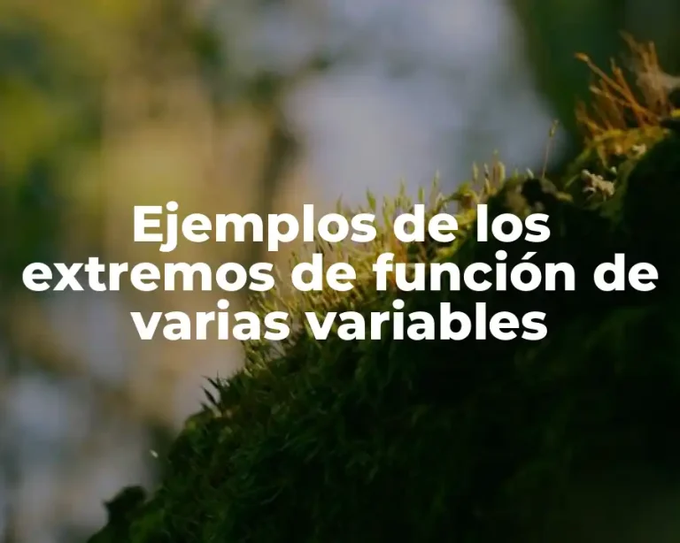 Ejemplos de los extremos de función de varias variables