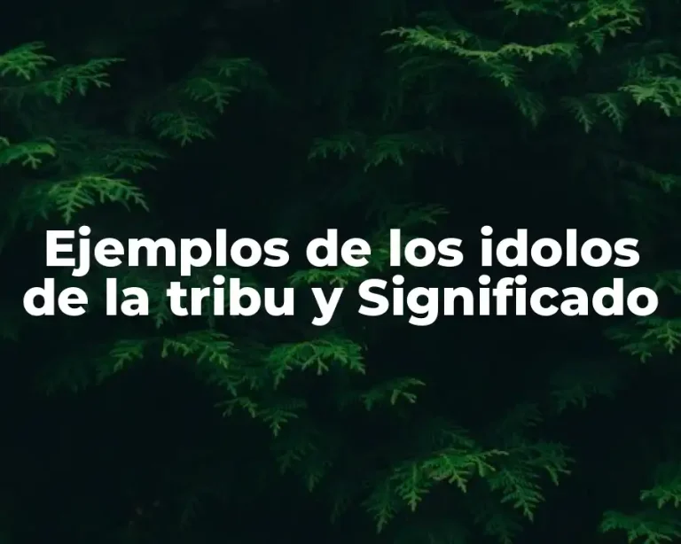 Ejemplos de los idolos de la tribu y Significado