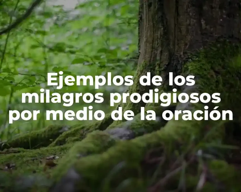 Ejemplos de los milagros prodigiosos por medio de la oración
