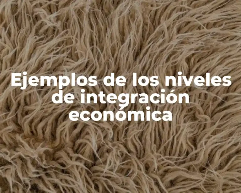 Ejemplos de los niveles de integración económica