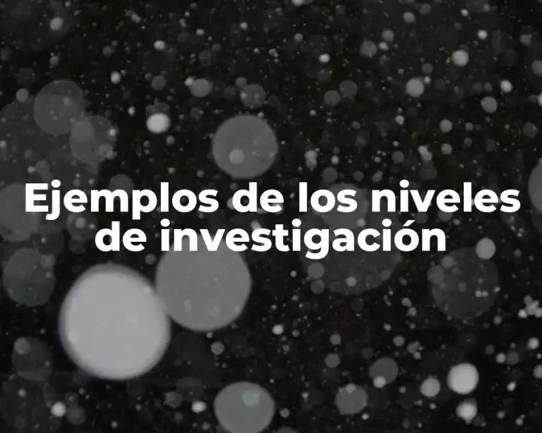 Ejemplos de los niveles de investigación
