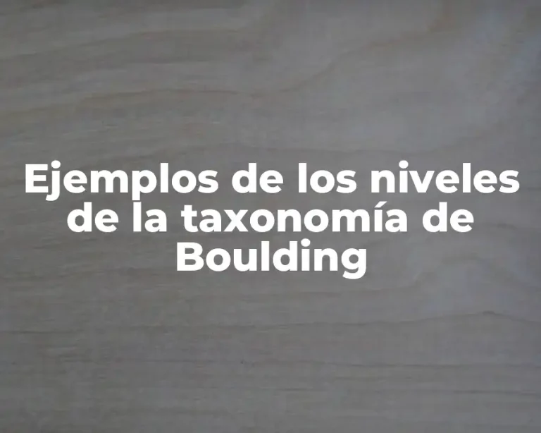 Ejemplos de los niveles de la taxonomía de Boulding