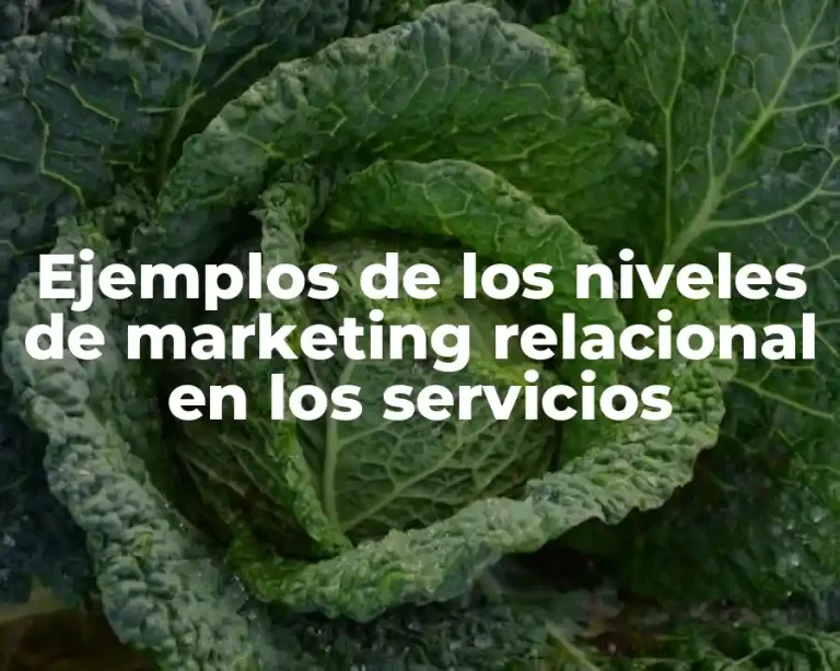 Ejemplos de los niveles de marketing relacional en los servicios