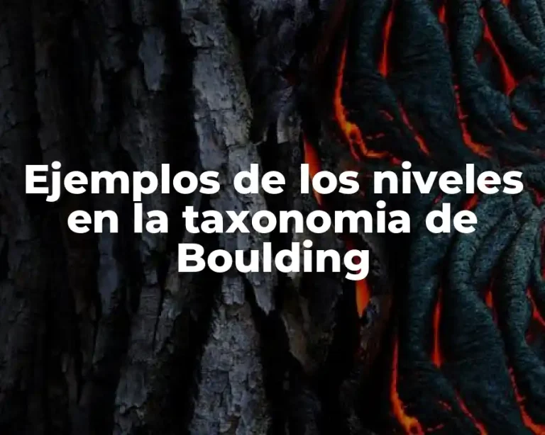 Ejemplos de los niveles en la taxonomia de Boulding