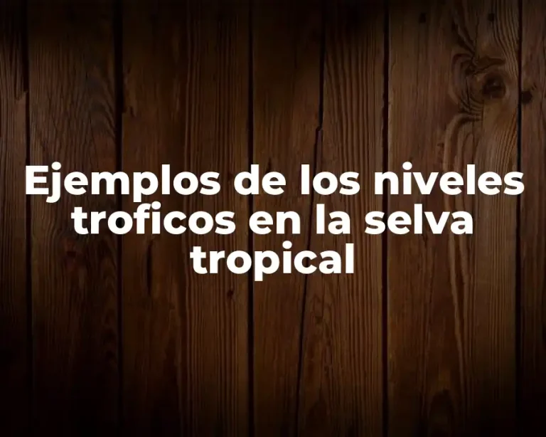 Ejemplos de los niveles troficos en la selva tropical