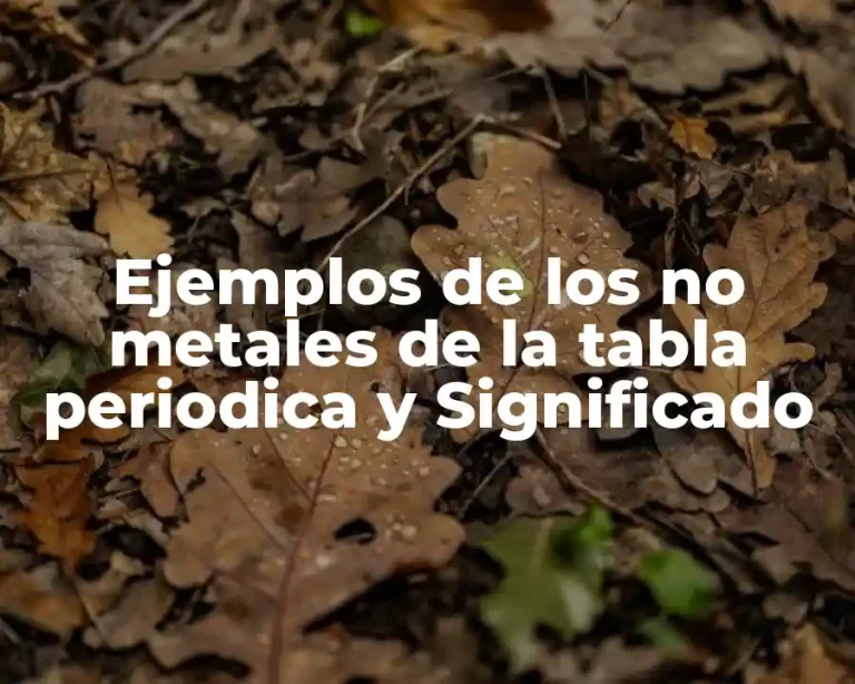 Ejemplos de los no metales de la tabla periodica y Significado